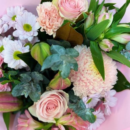 pink seasonal